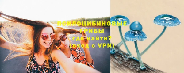 jwh Вязьма
