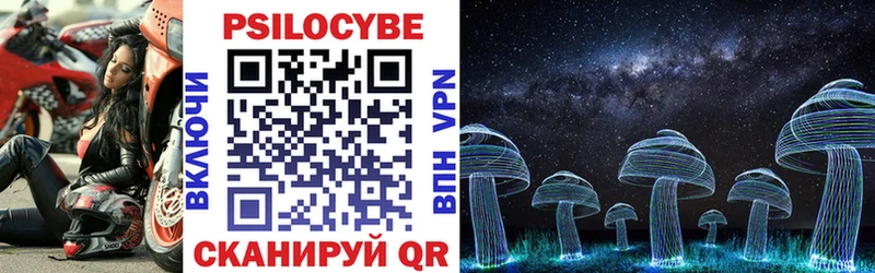 Псилоцибиновые грибы GOLDEN TEACHER  Купить закладки  Муром 